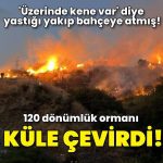 Bir kene 120 dönüm alanı küle çevirdi